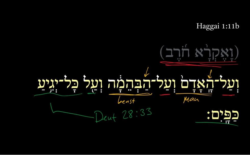Haggai 1:11b