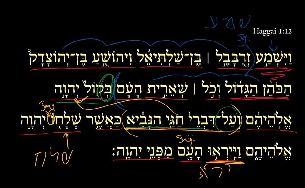 Haggai 1:12