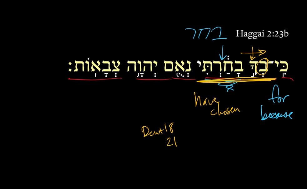 Haggai 2:23b