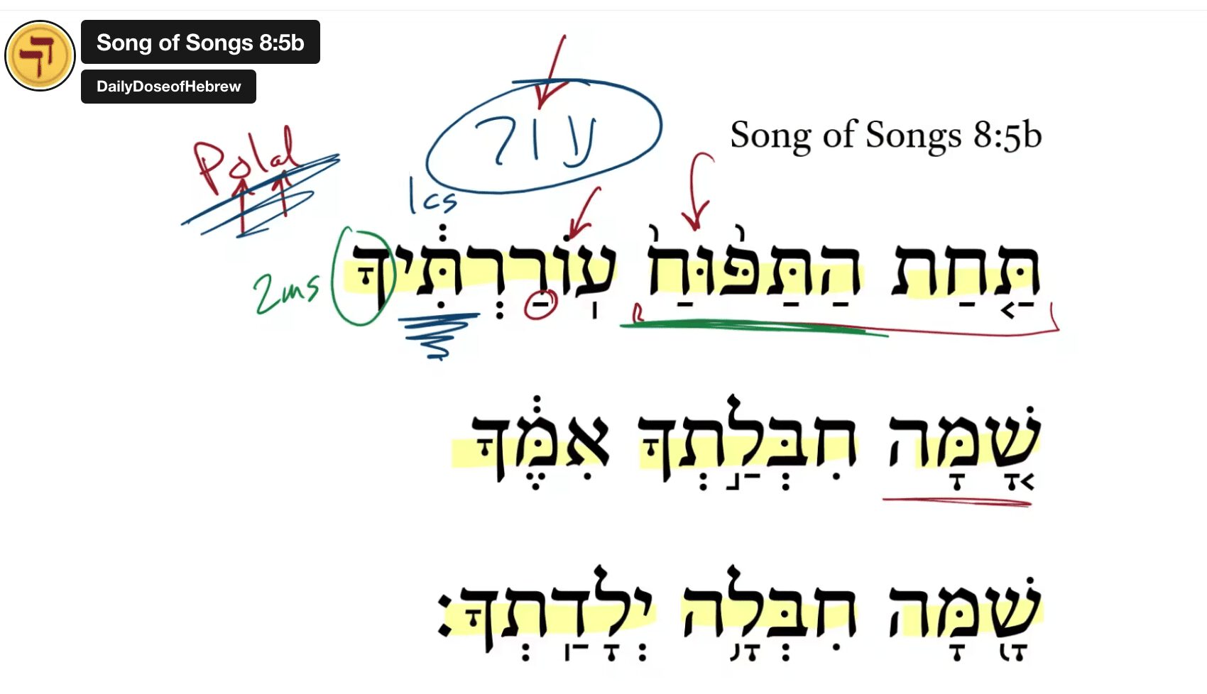 Song of Songs 8:5b