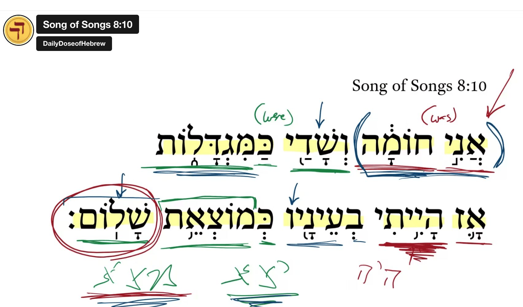 Song of Songs 8:10