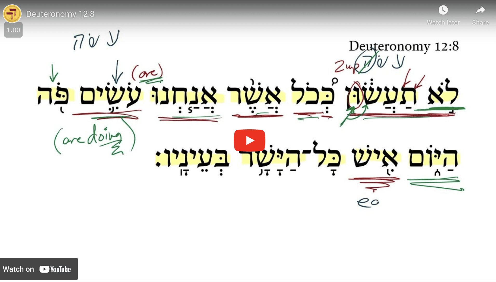 Deuteronomy 12:8