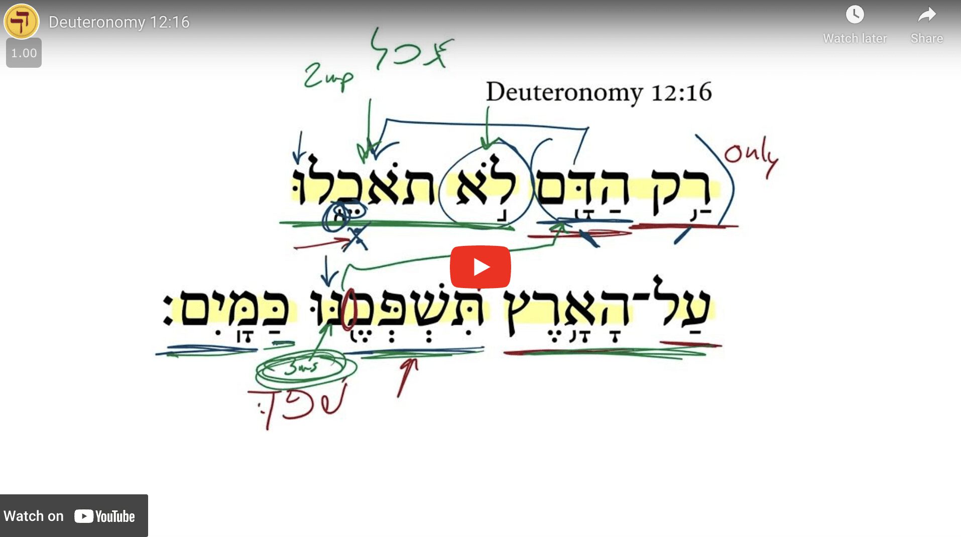 Deuteronomy 12:16