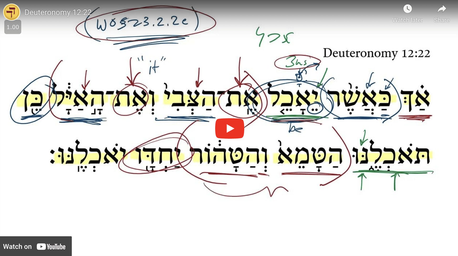Deuteronomy 12:22