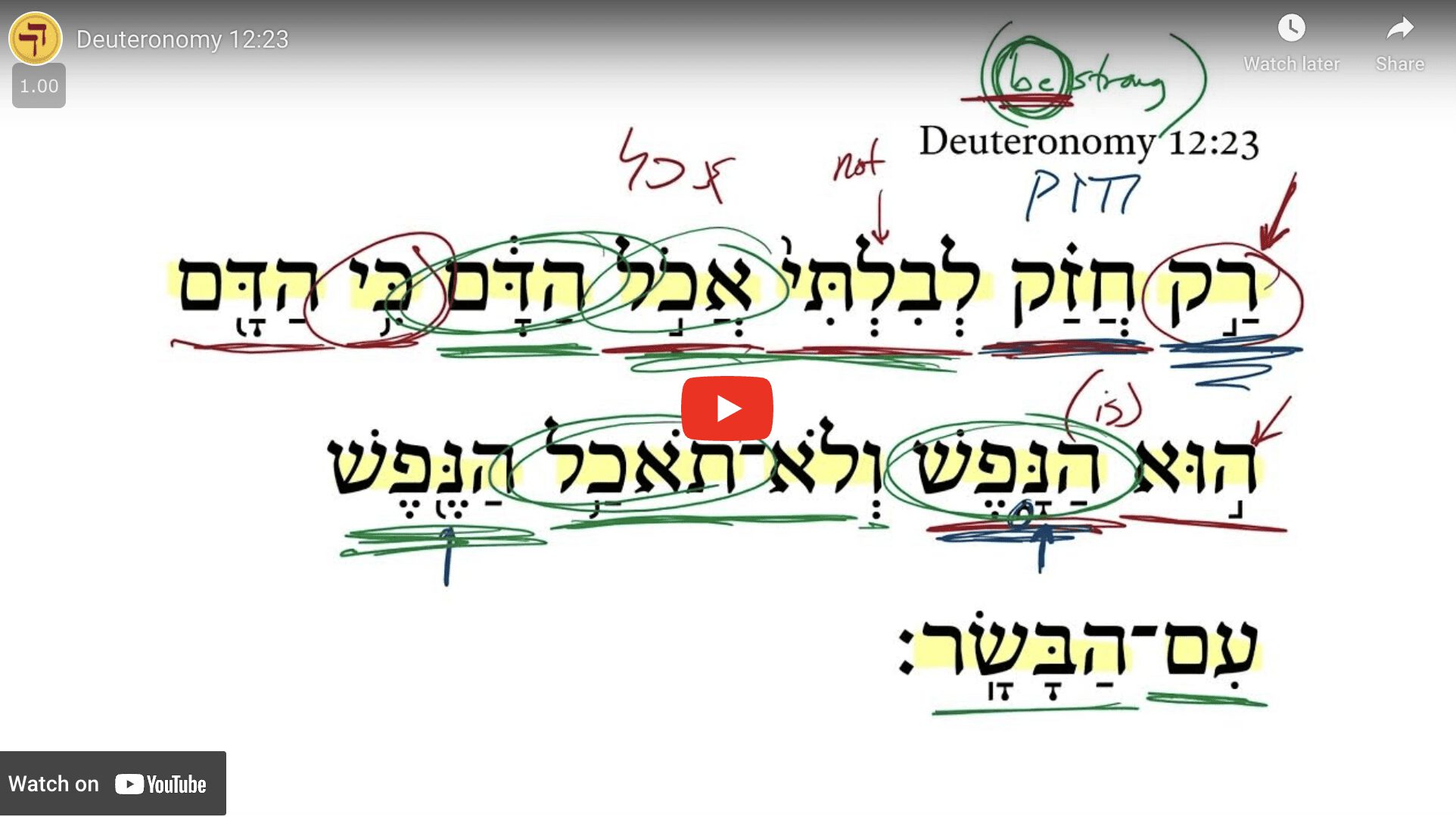 Deuteronomy 12:23