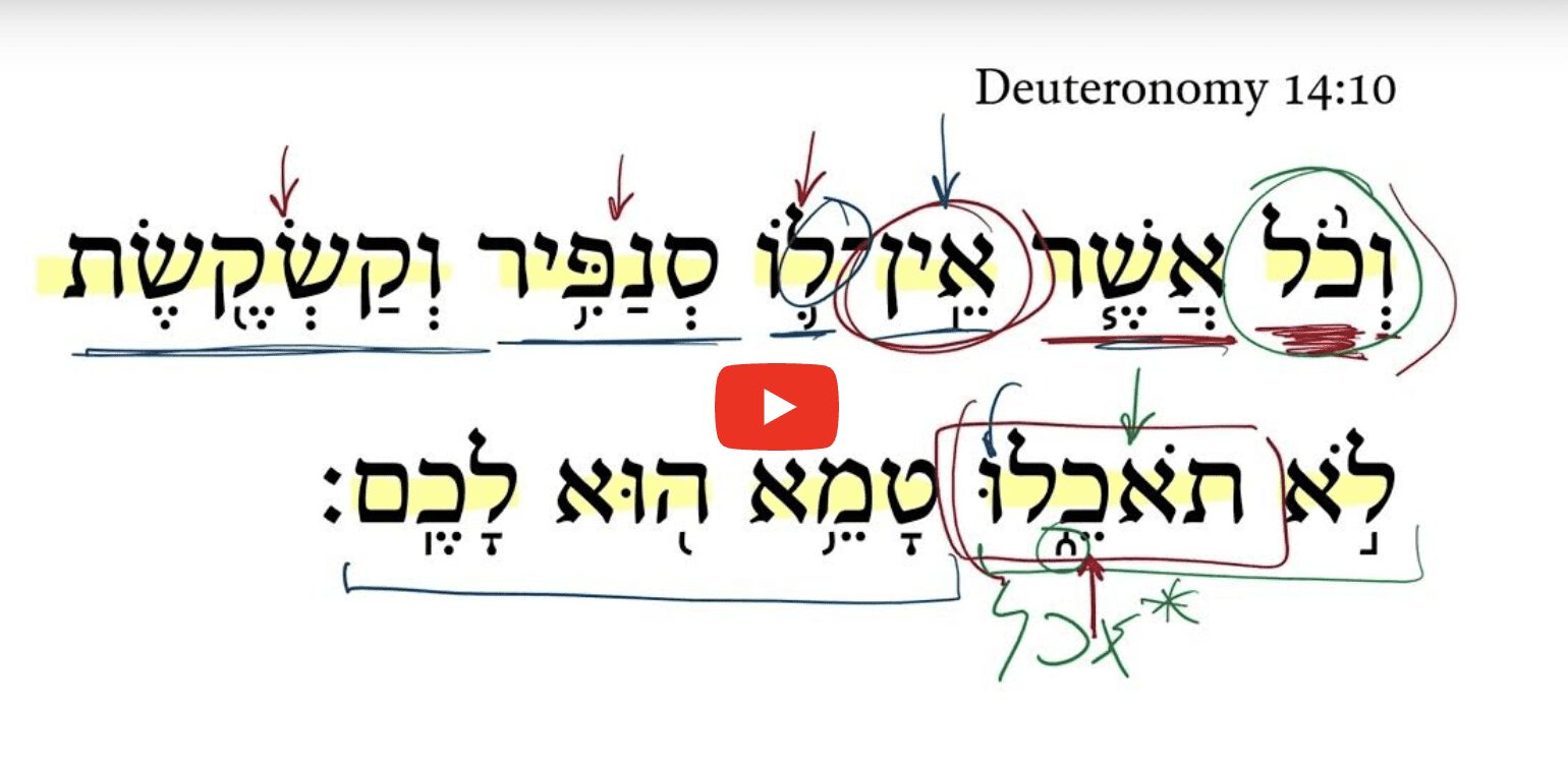 Deuteronomy 14:10