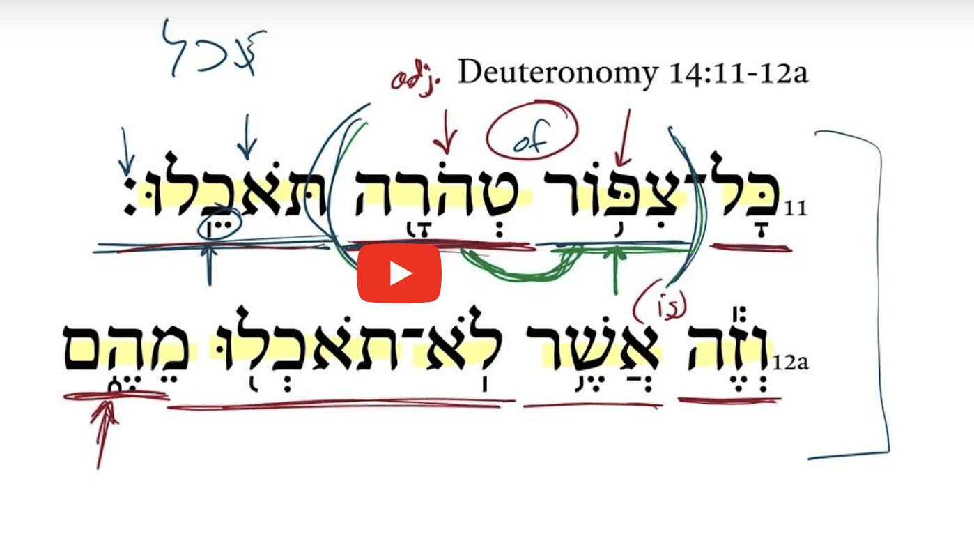 Deuteronomy 14:11-12a