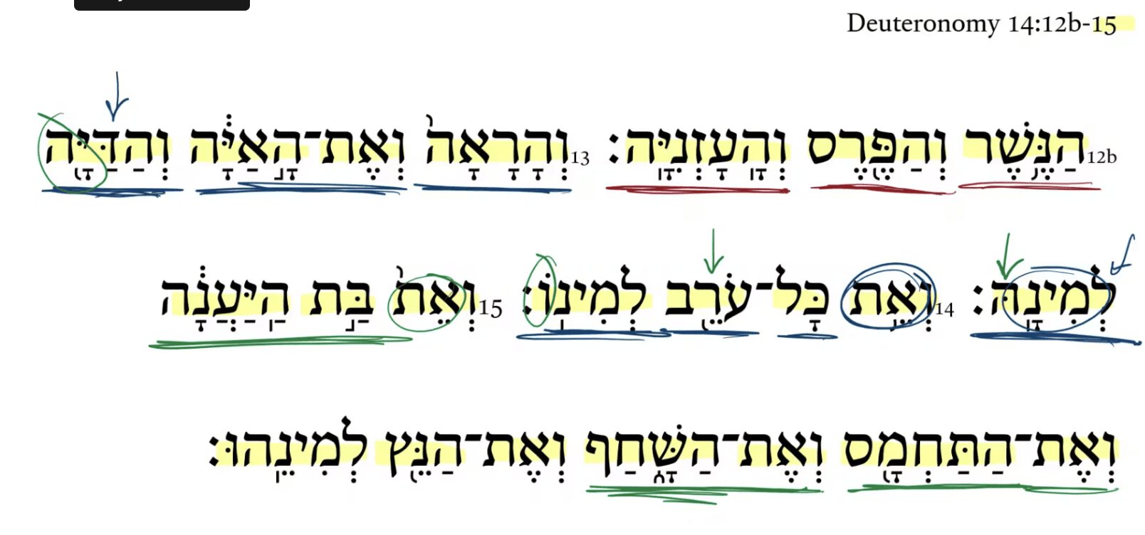 Deuteronomy 14:12b-15