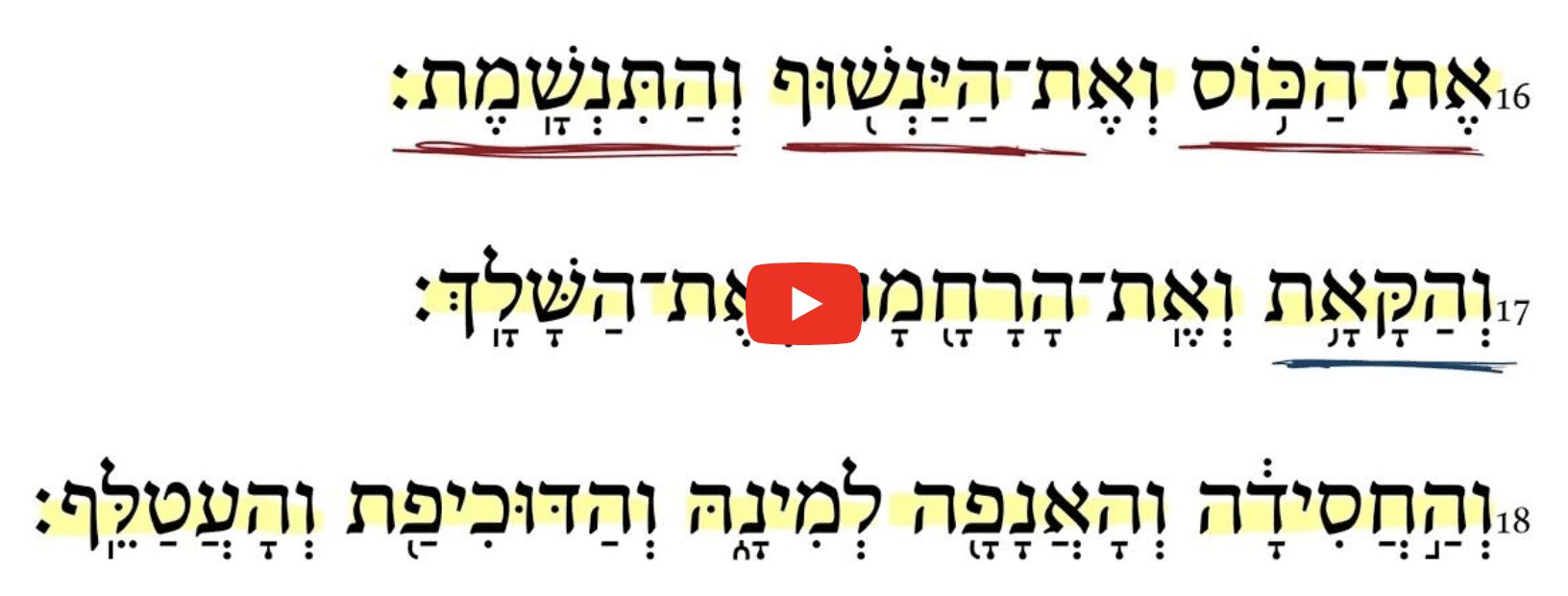 Deuteronomy 14:16-18