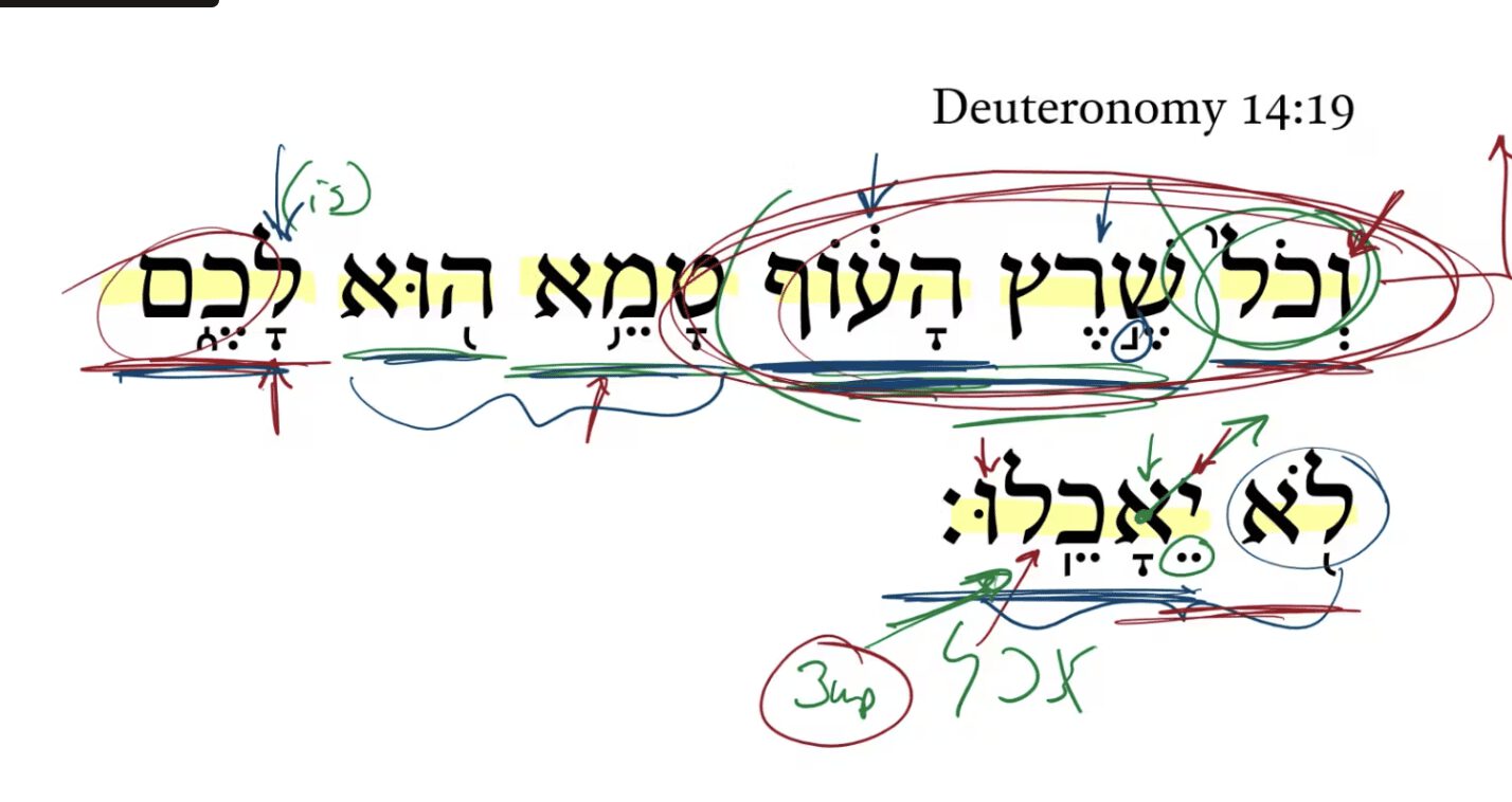 Deuteronomy 14:19
