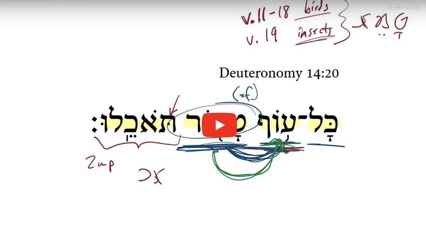 Deuteronomy 14:20