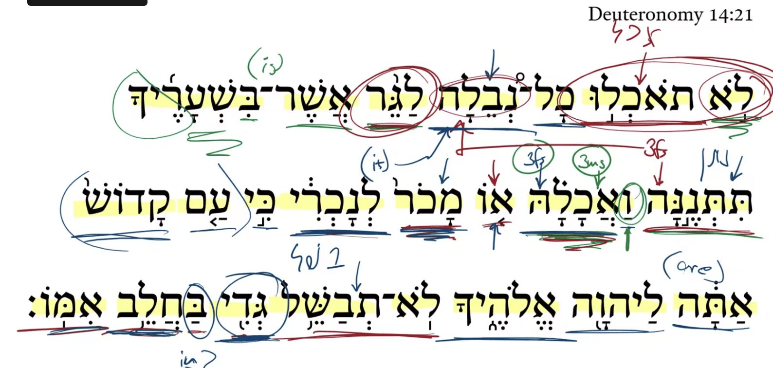 Deuteronomy 14:21