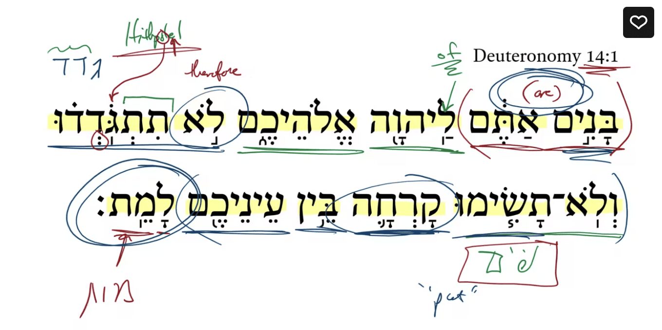 Deuteronomy 14:1
