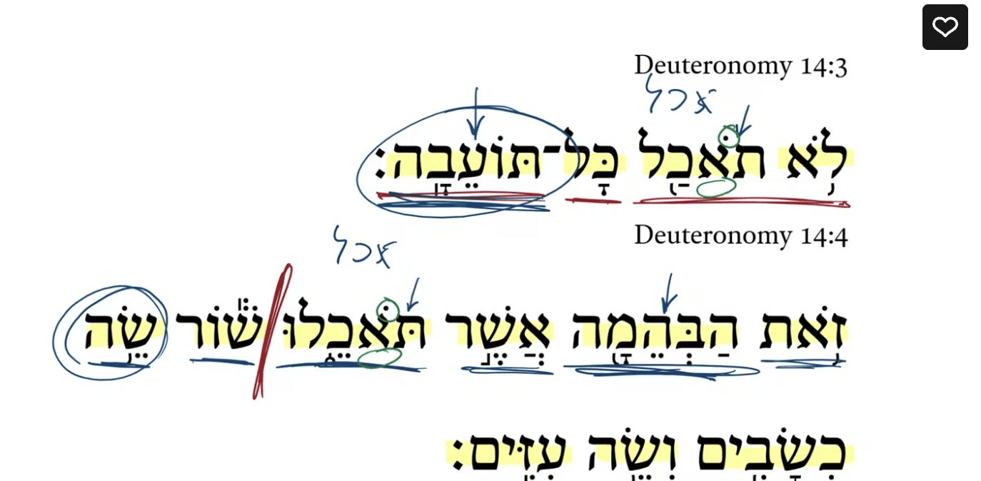 Deuteronomy 14:3-5