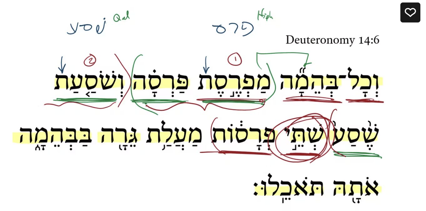Deuteronomy 14:6