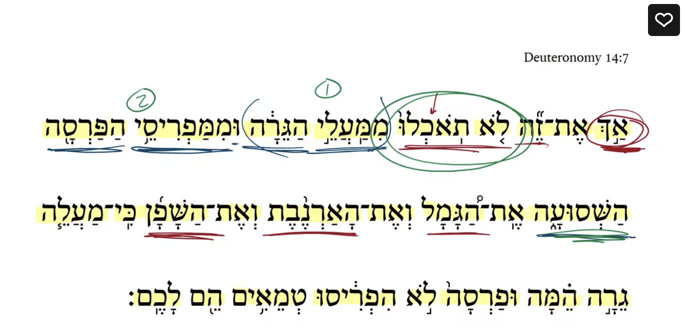 Deuteronomy 14:7