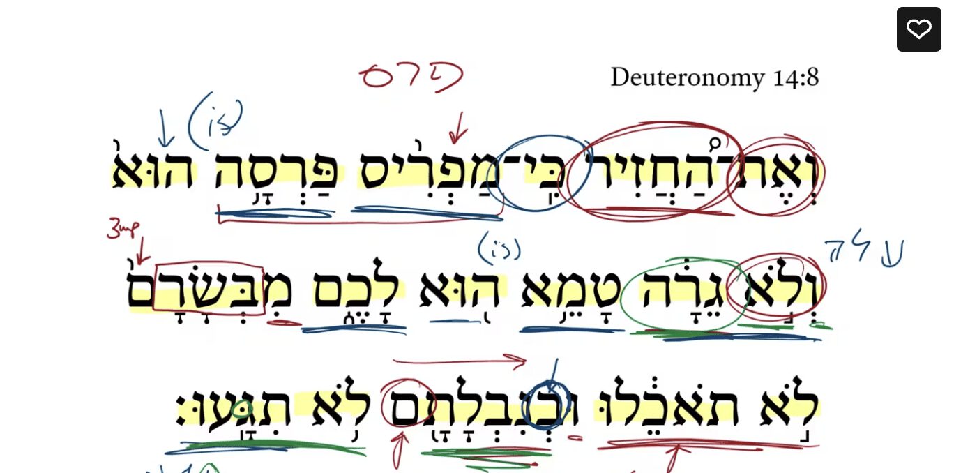 Deuteronomy 14:8