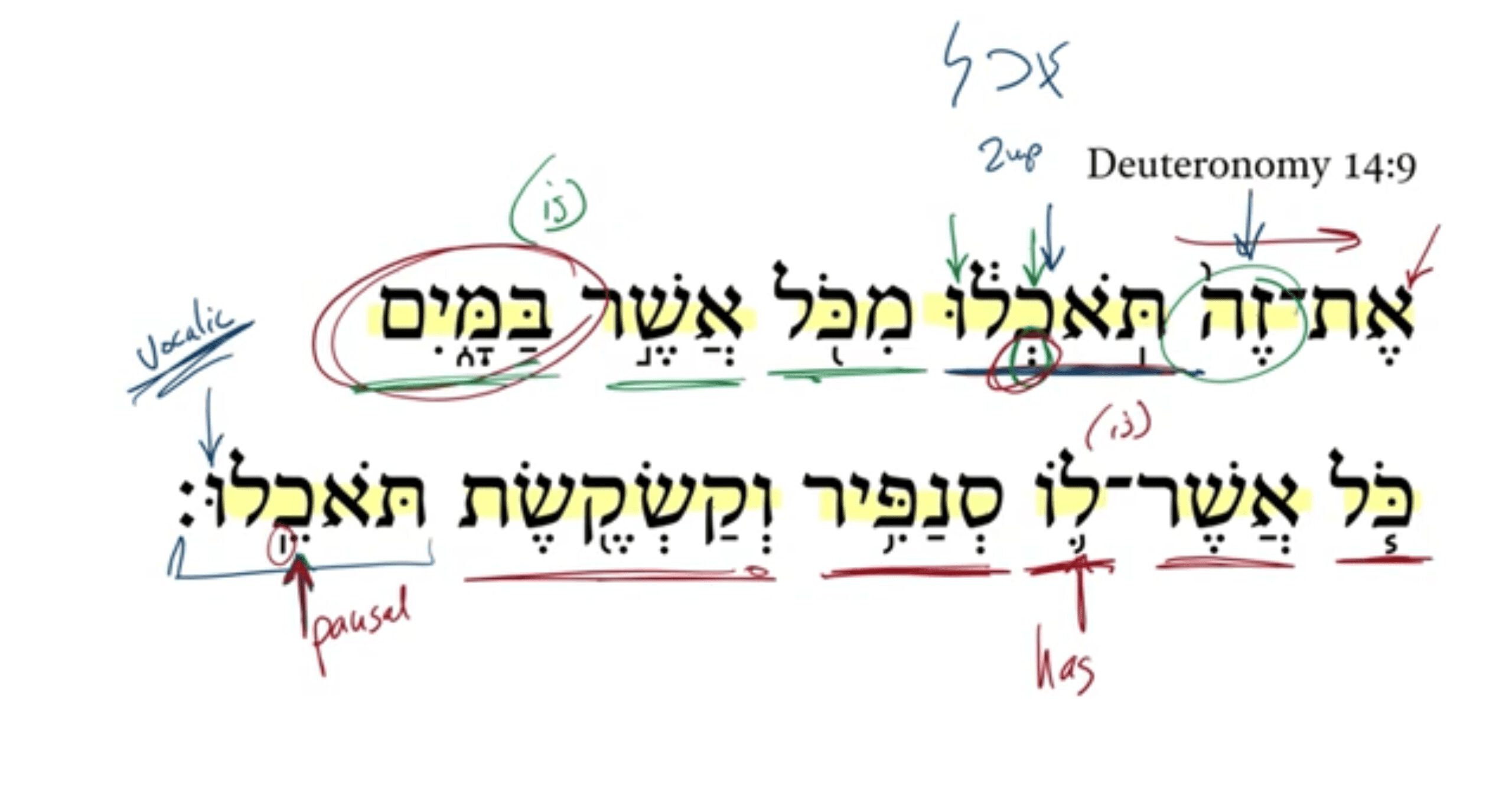 Deuteronomy 14:9