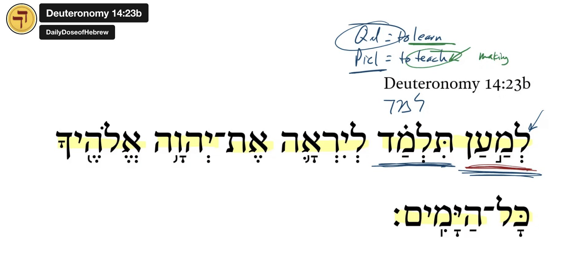 Deuteronomy 14:23b