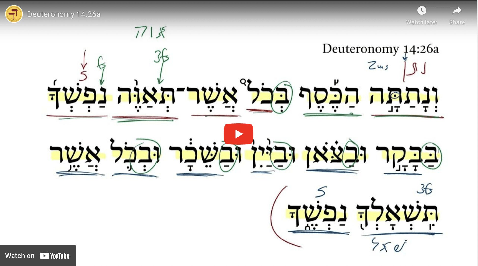 Deuteronomy 14:26a