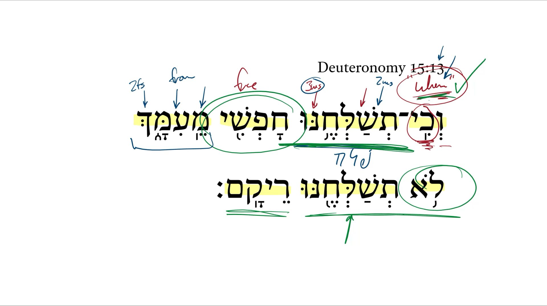 Deuteronomy 15:13