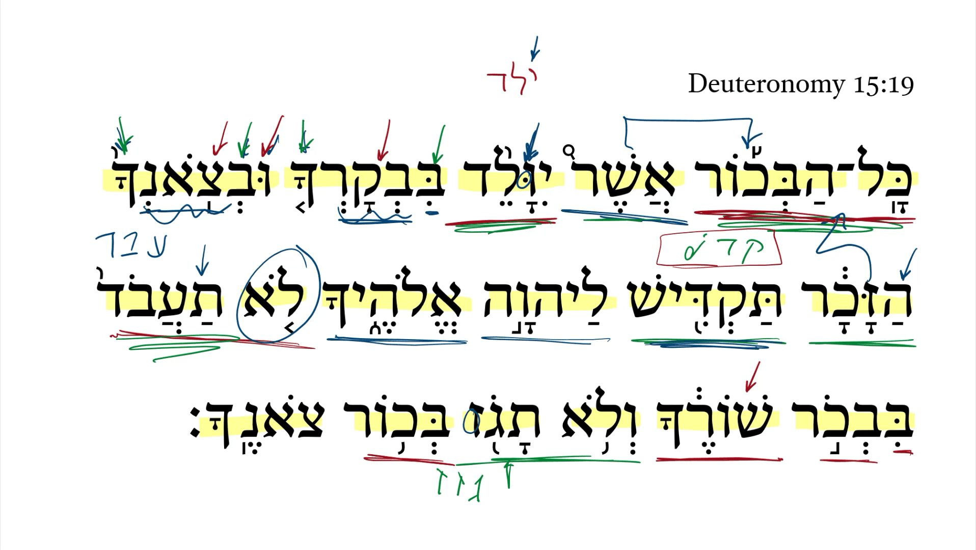 Deuteronomy 15:19