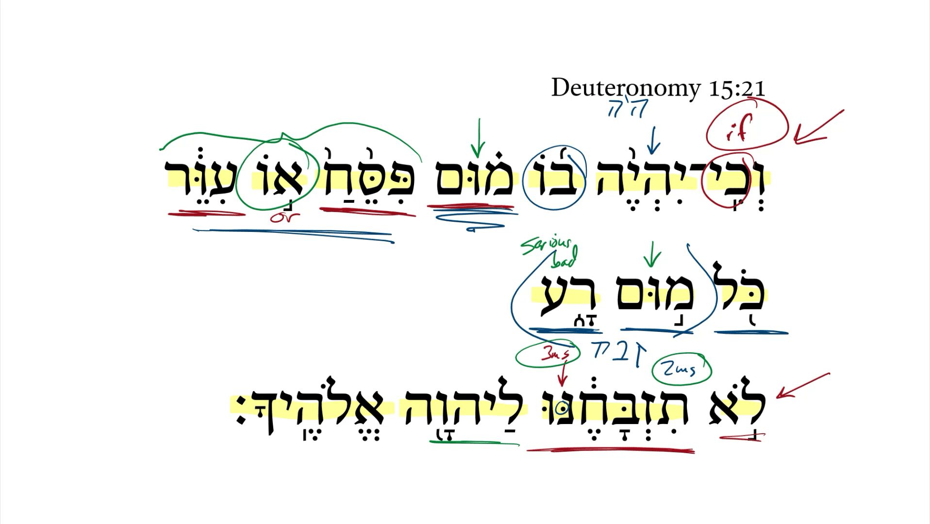 Deuteronomy 15:21