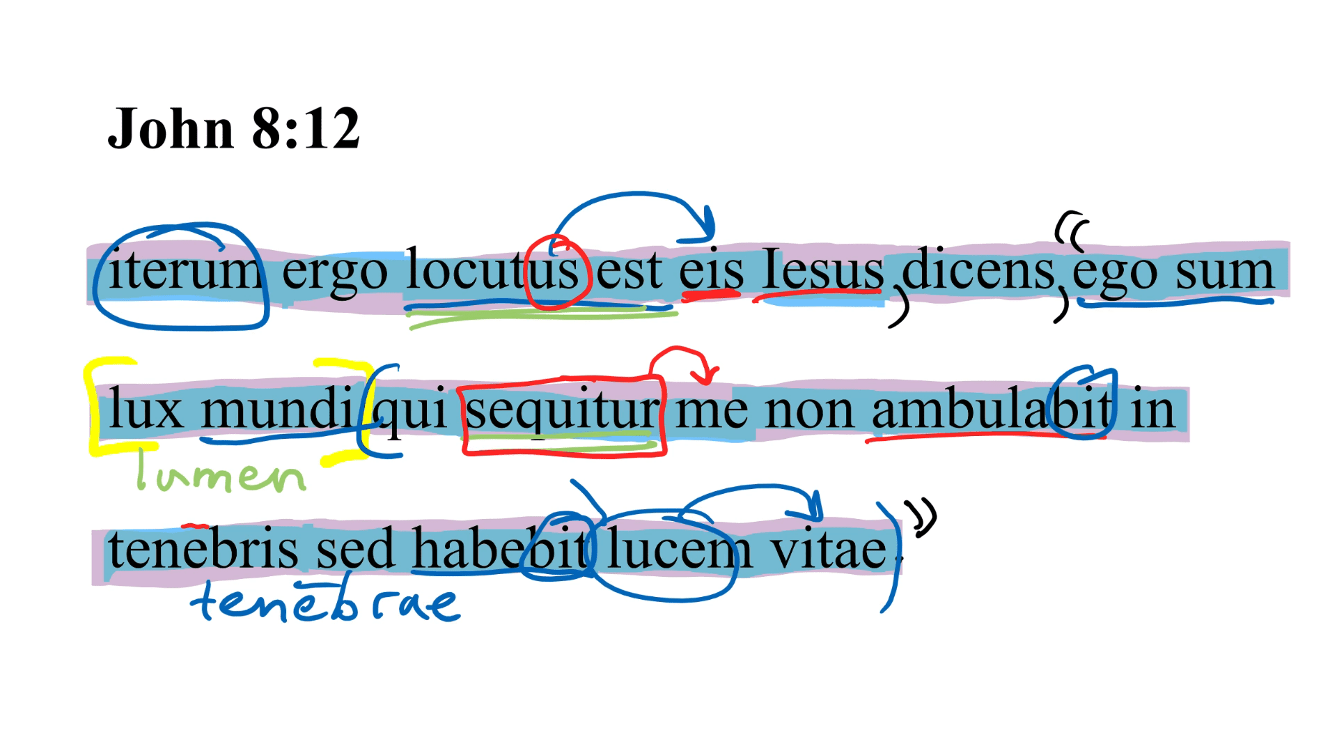 John 8:12