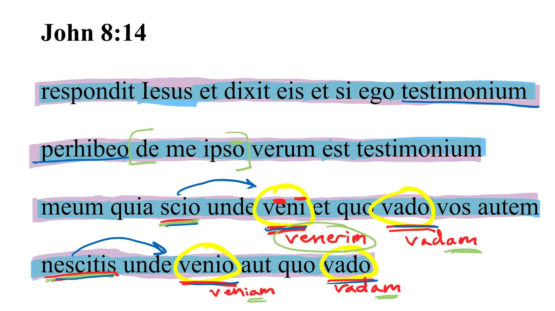 John 8:14