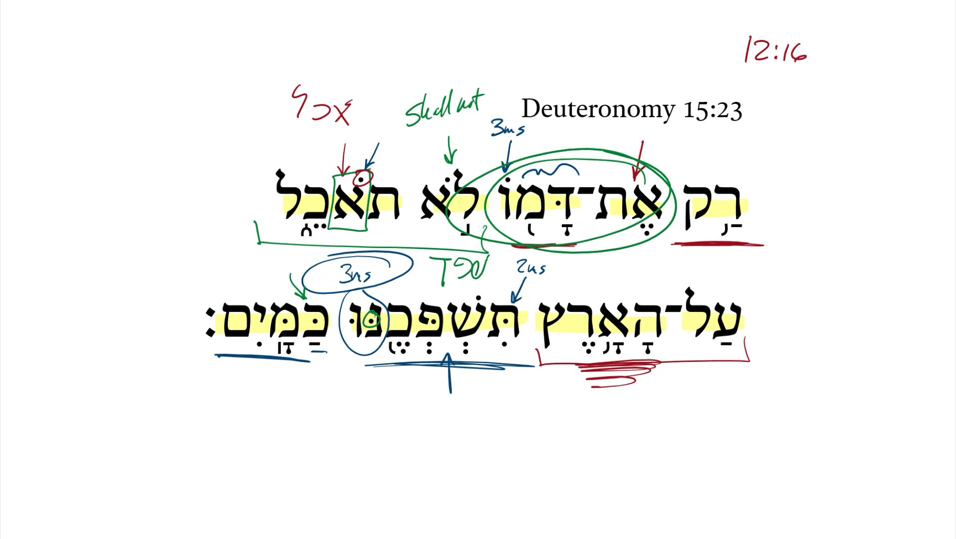 Deuteronomy 15:23