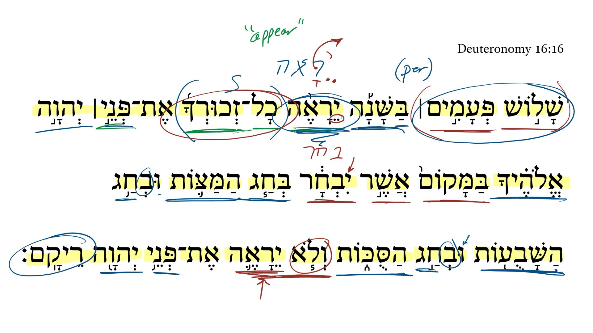 Deuteronomy 16:16