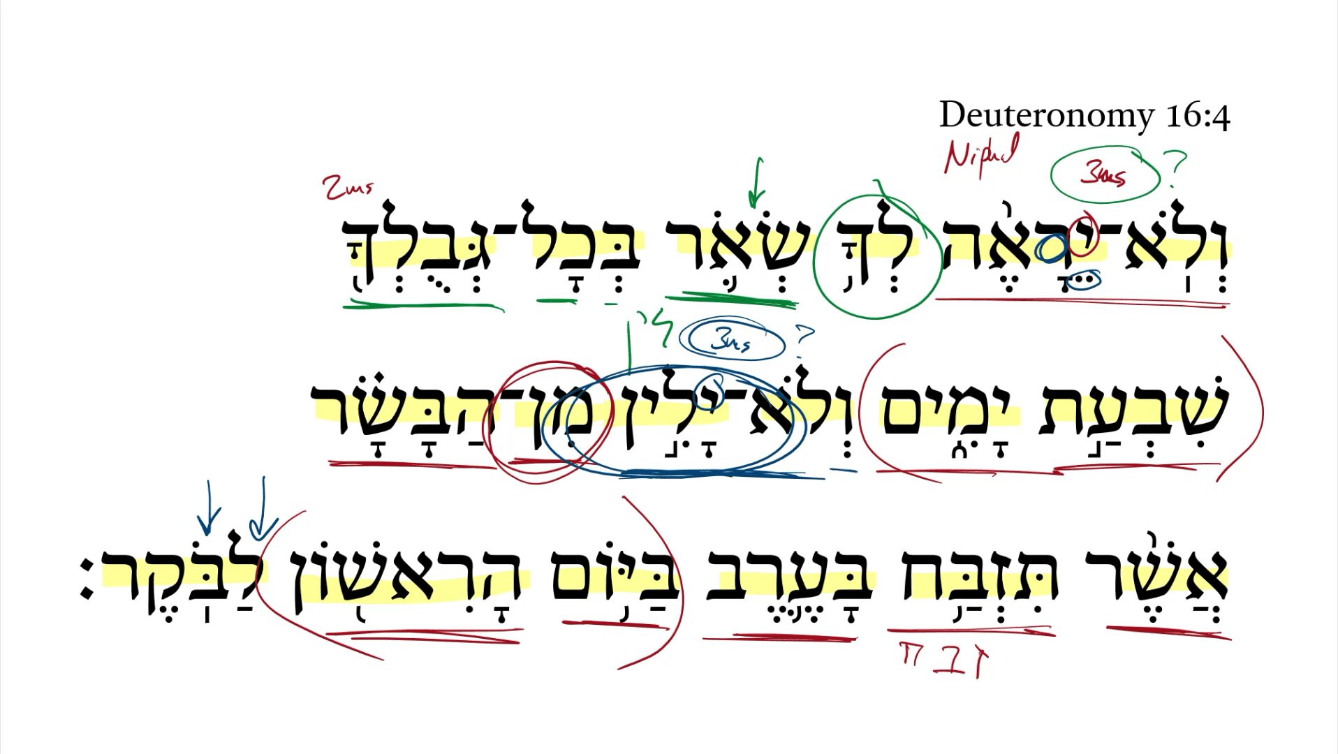 Deuteronomy 16:4