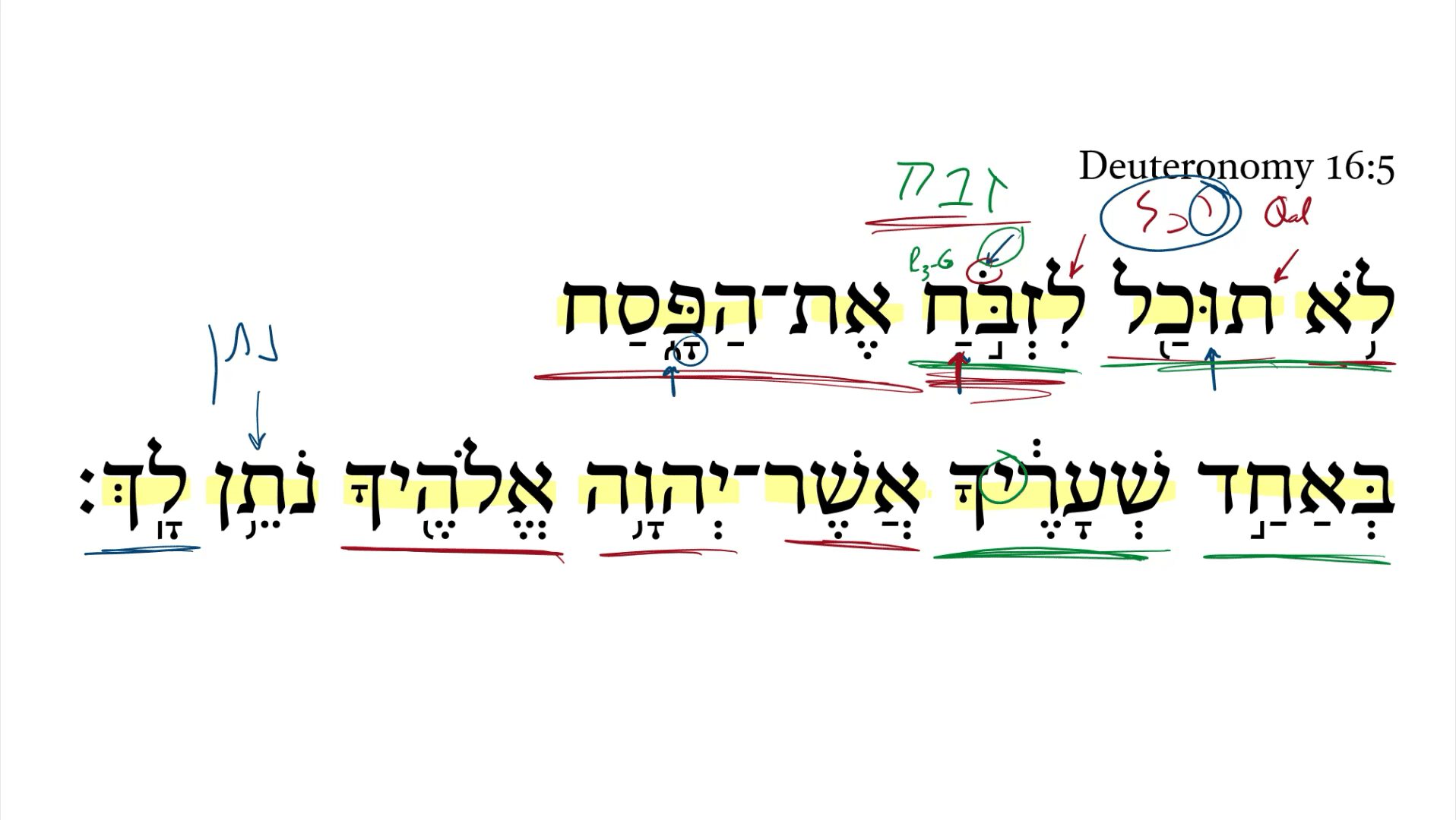 Deuteronomy 16:5