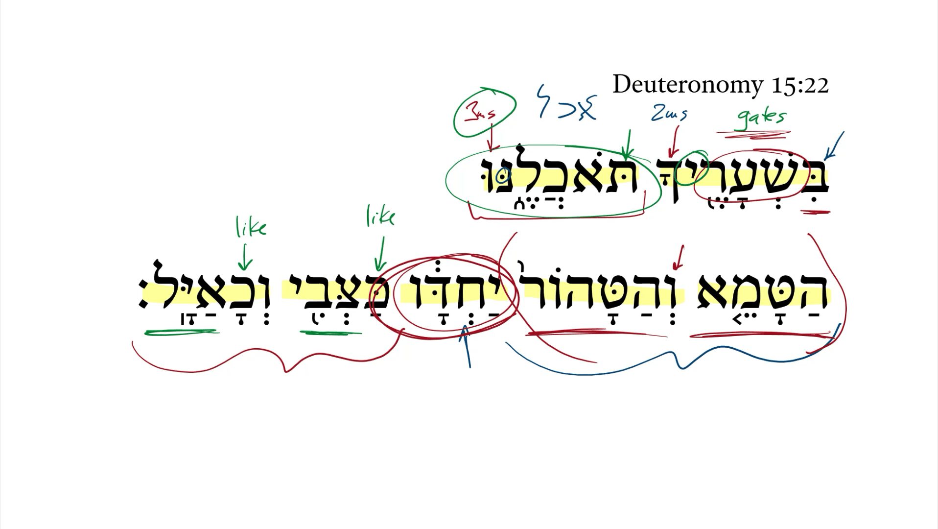 Deuteronomy 15:22