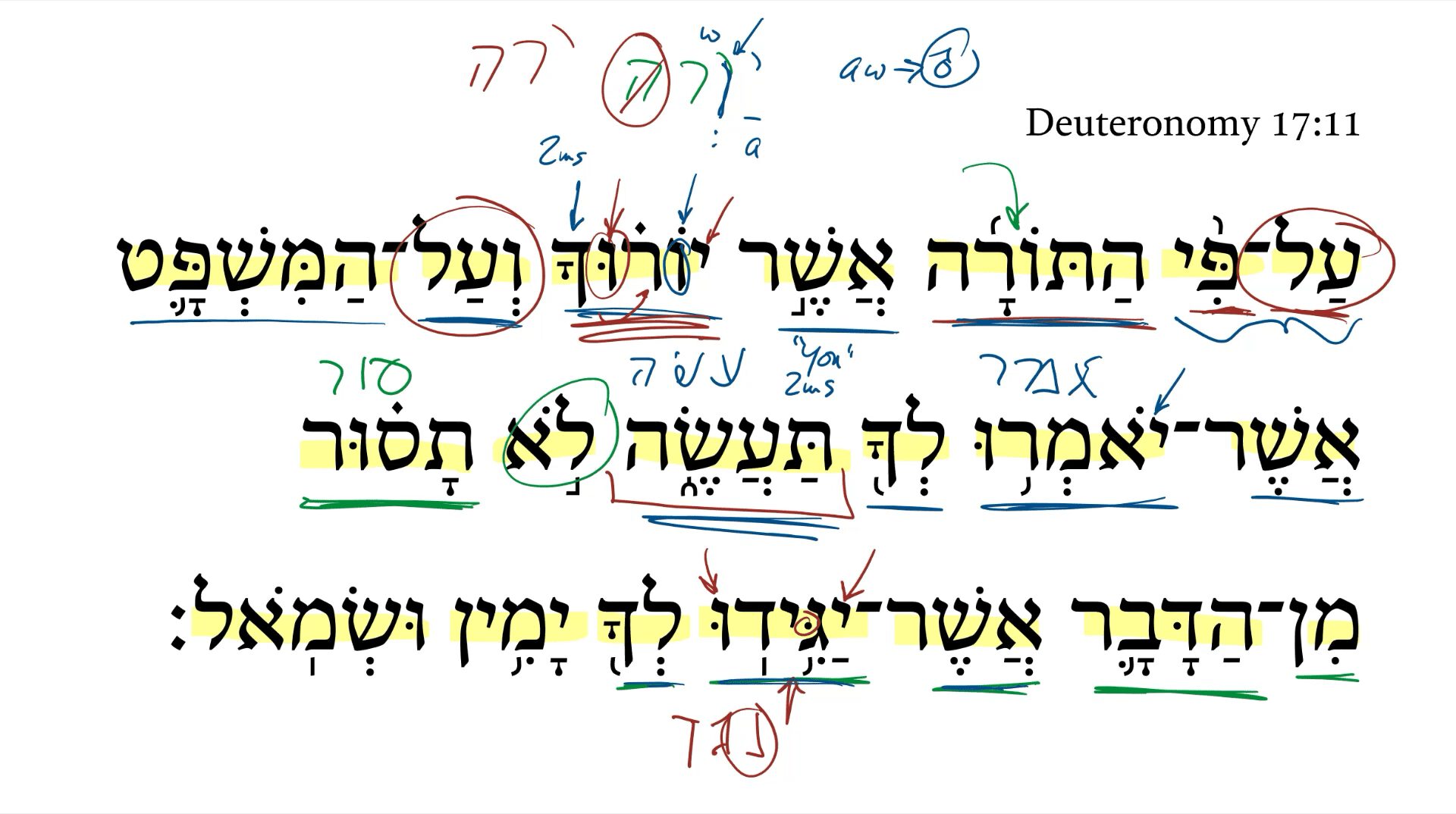 Deuteronomy 17:11