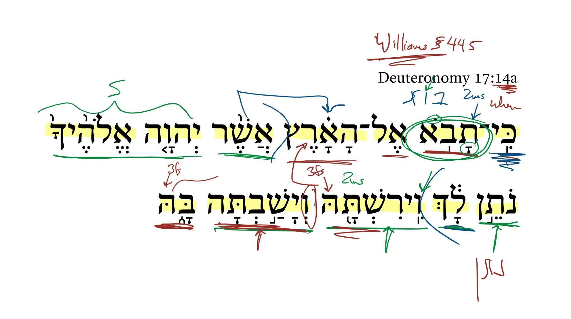 Deuteronomy 17:14a