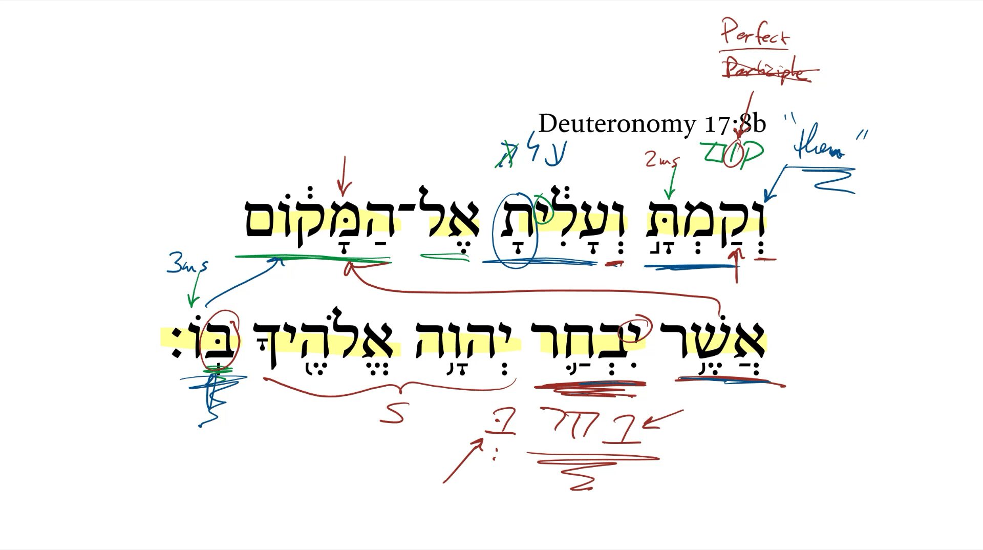 Deuteronomy 17:8b
