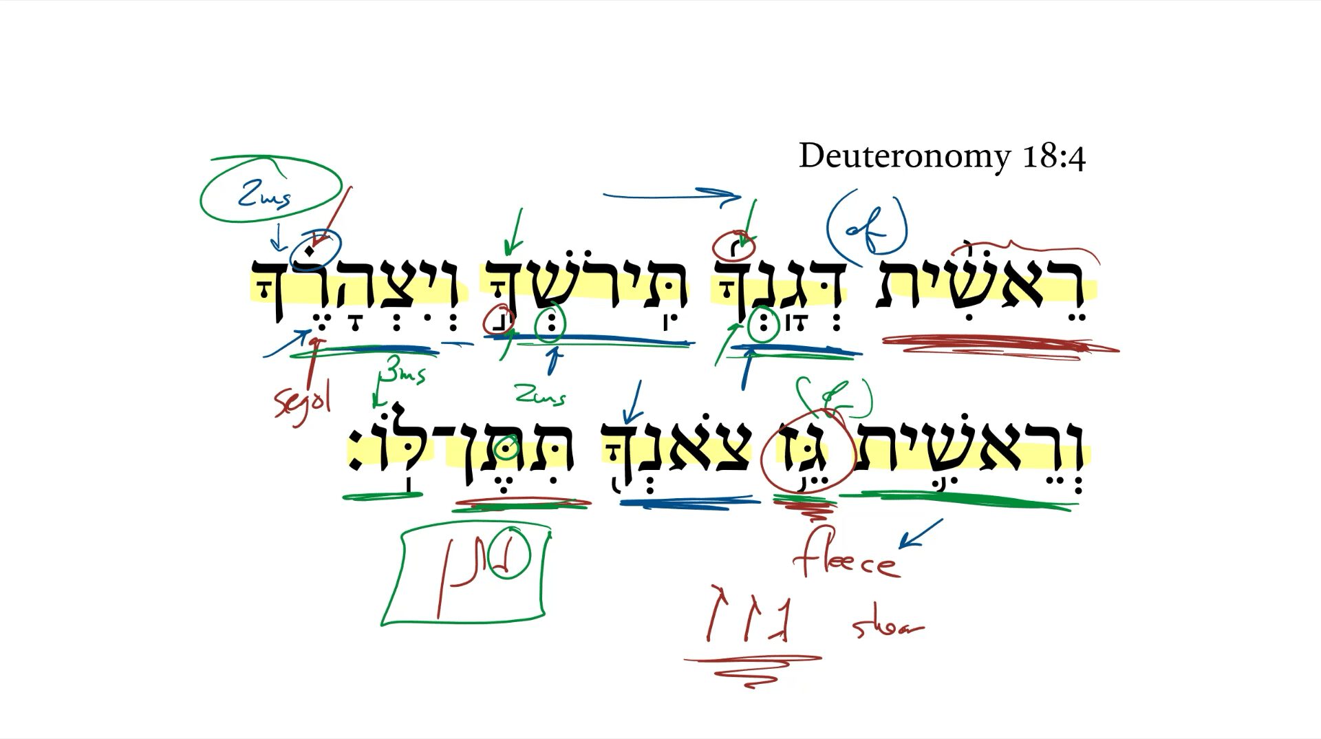 Deuteronomy 18:4