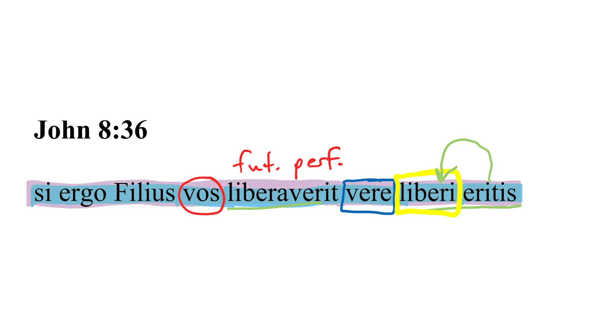 John 8:36 Latin Vulgate
