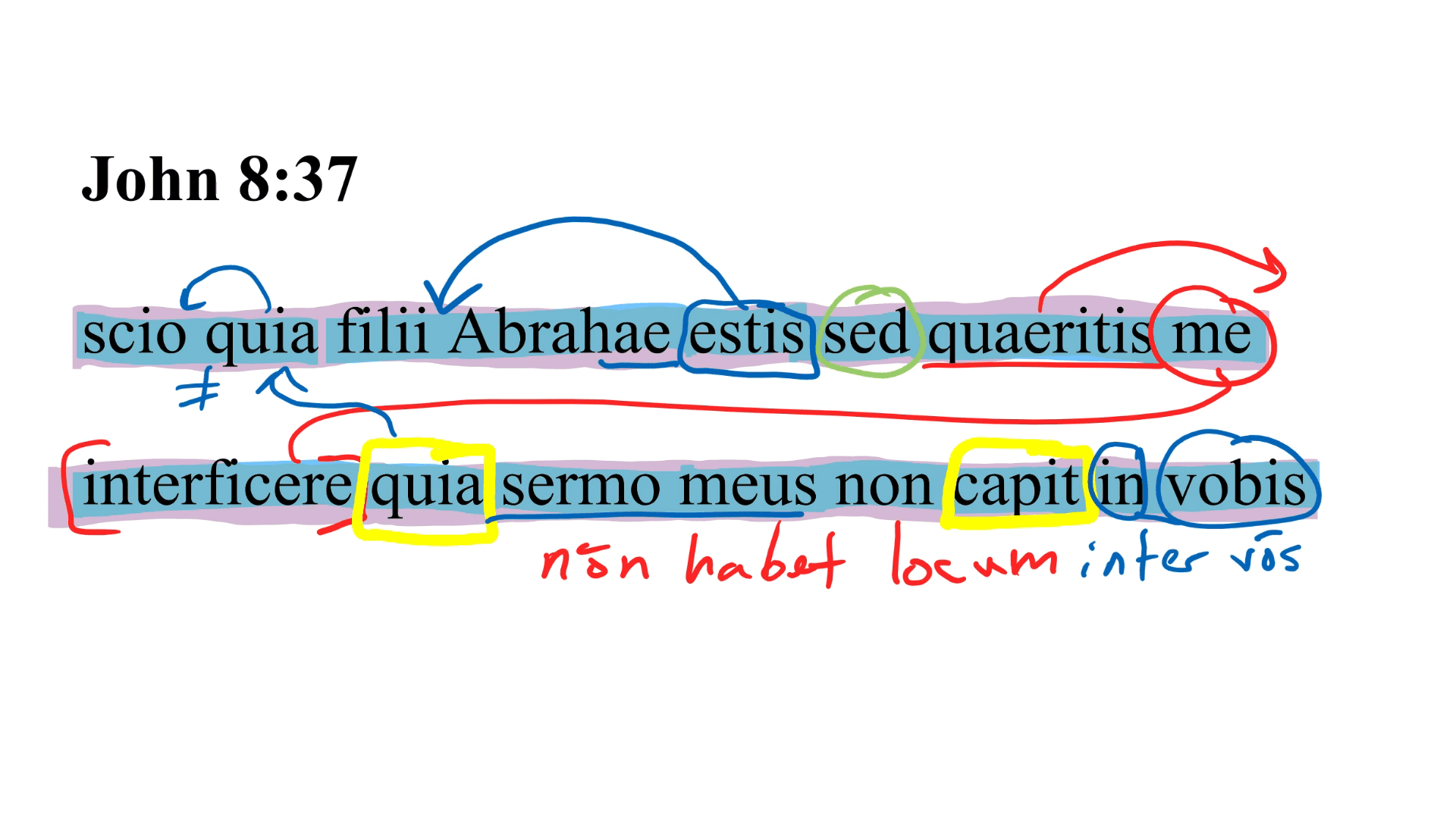 John 8:37 Latin Vulgate