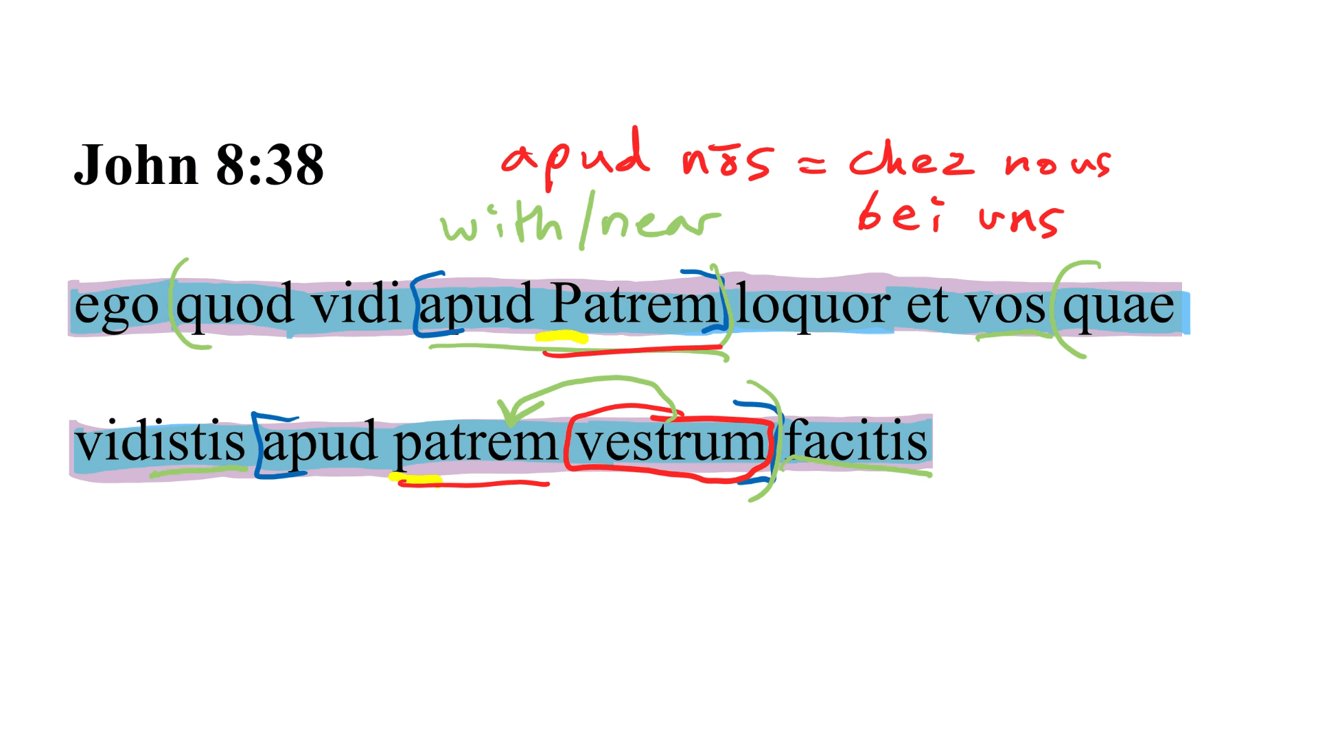 John 8:38 Latin Vulgate
