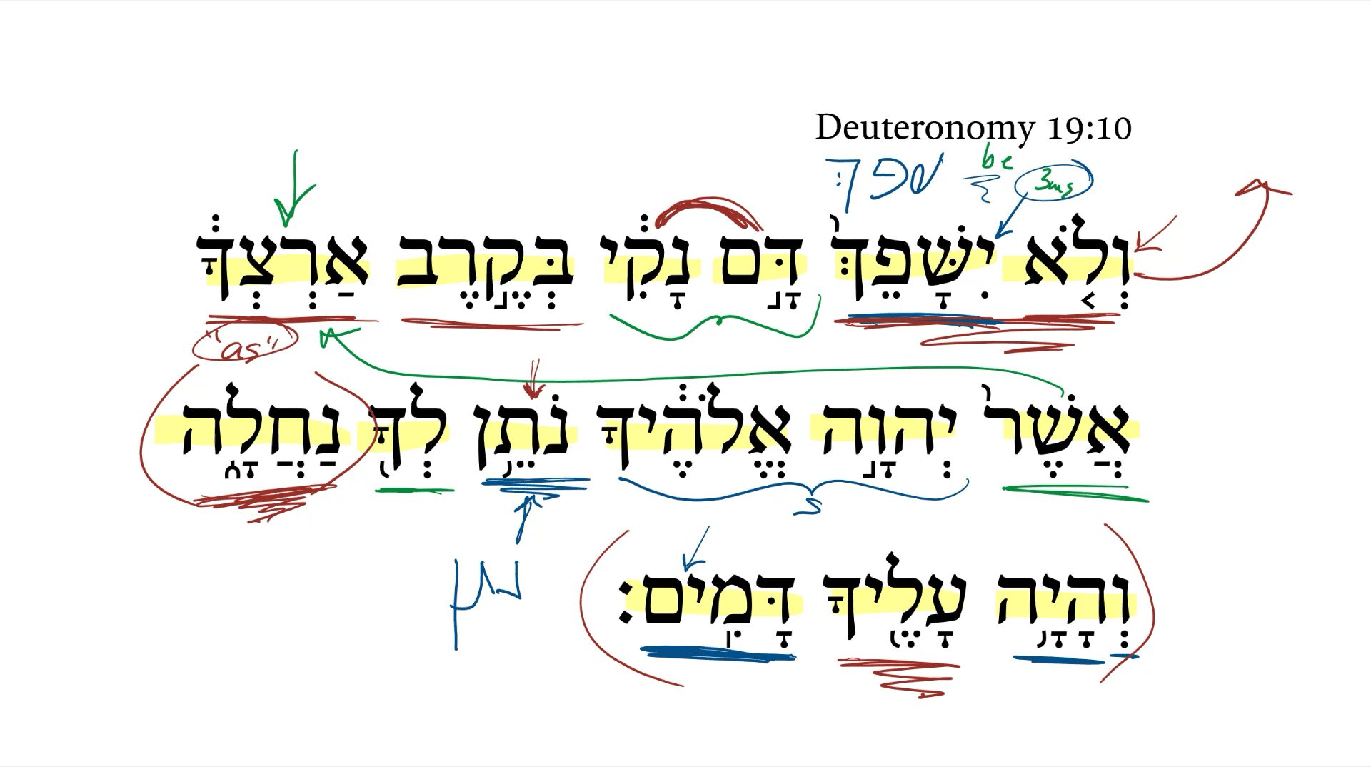 Deuteronomy 19:10