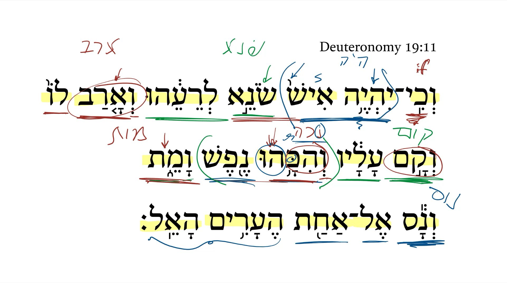 Deuteronomy 19:11