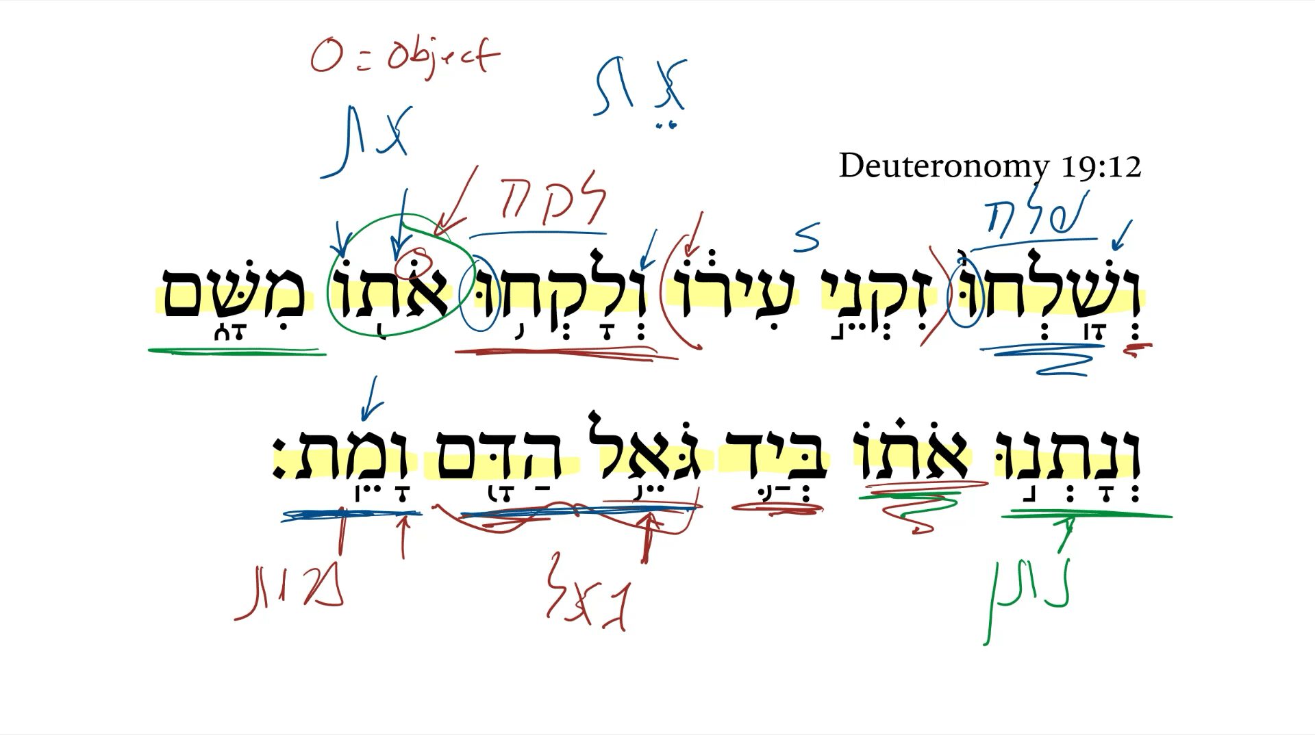 Deuteronomy 19:12