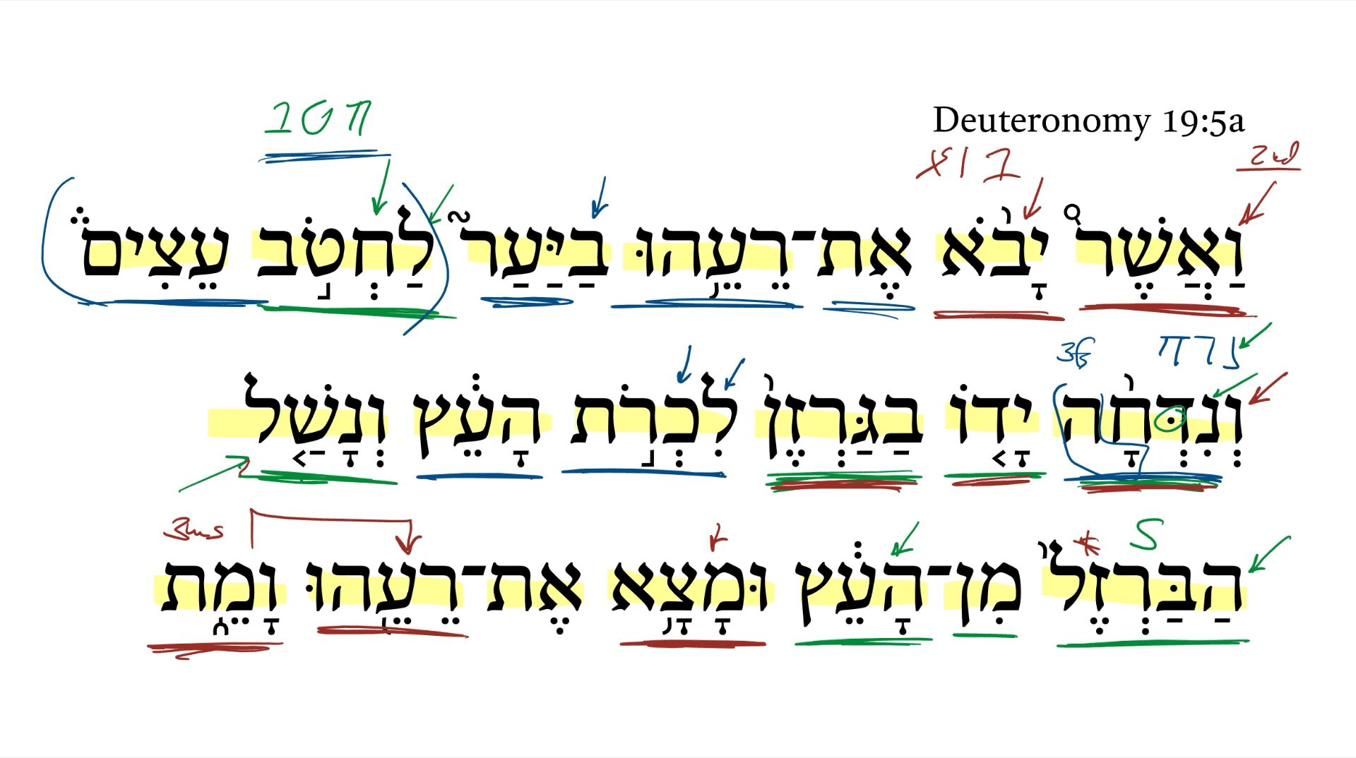 Deuteronomy 19:5a