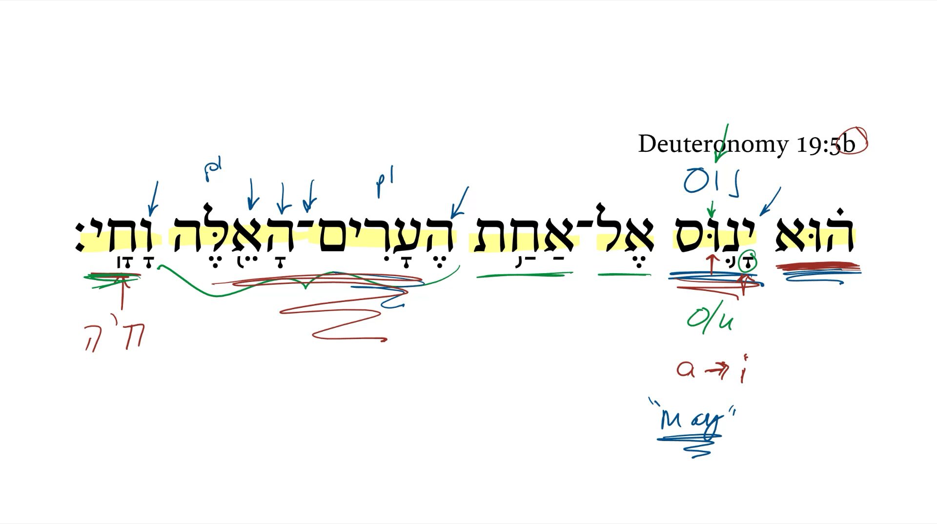 Deuteronomy 19:5b