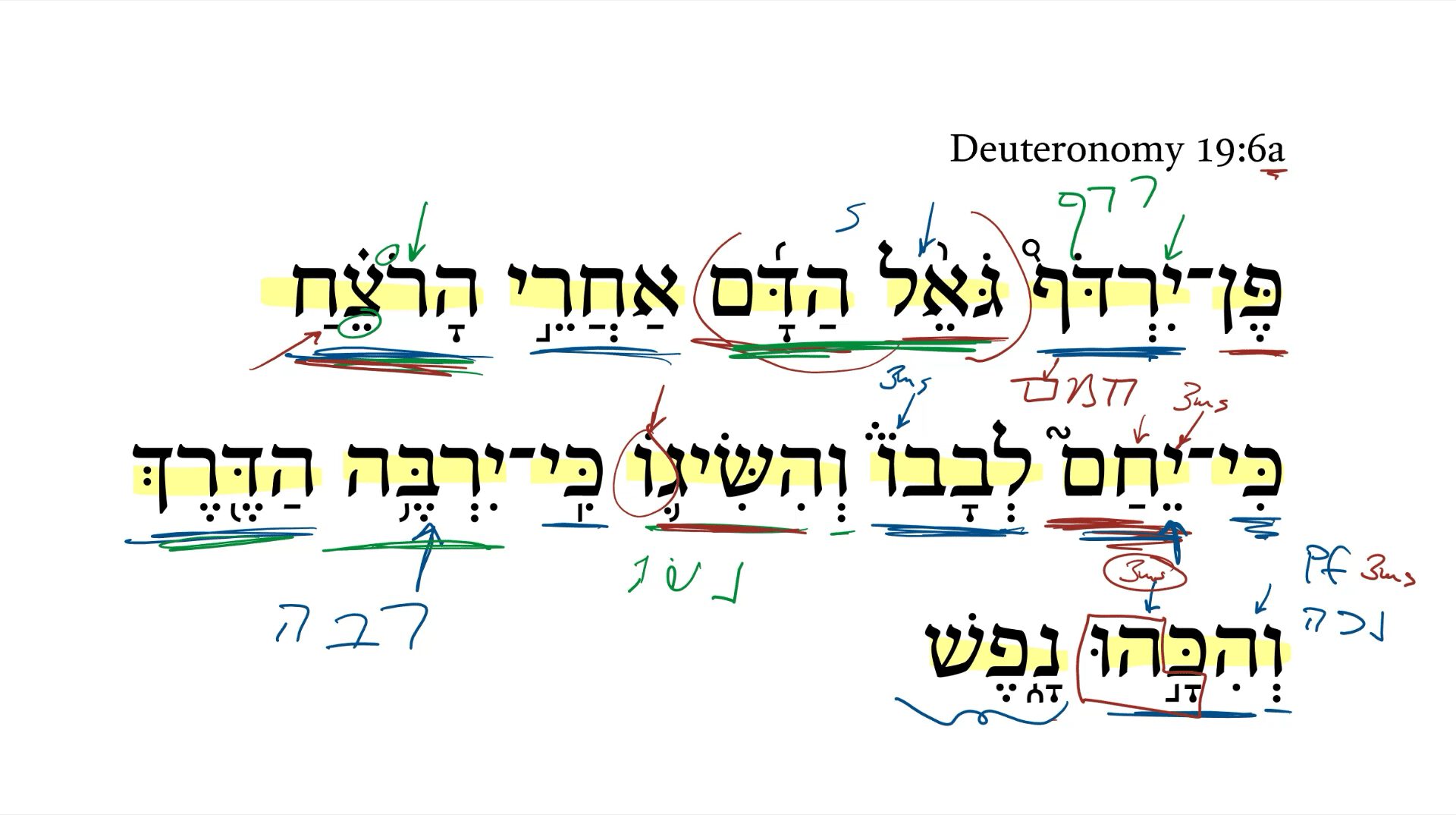 Deuteronomy 19:6a