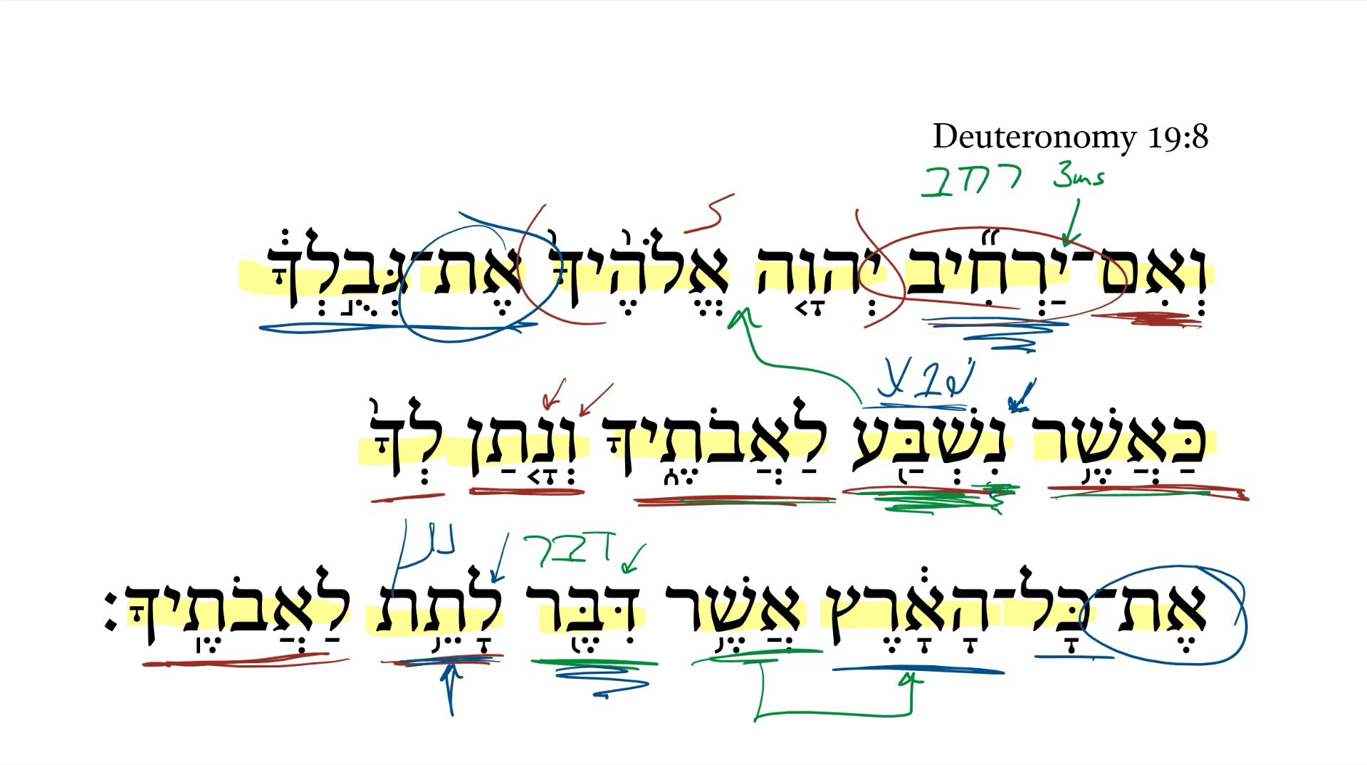 Deuteronomy 19:8