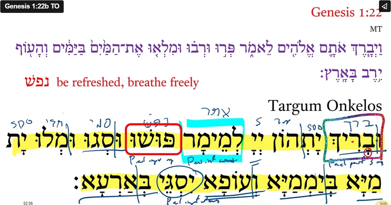 Genesis 1:22b TO