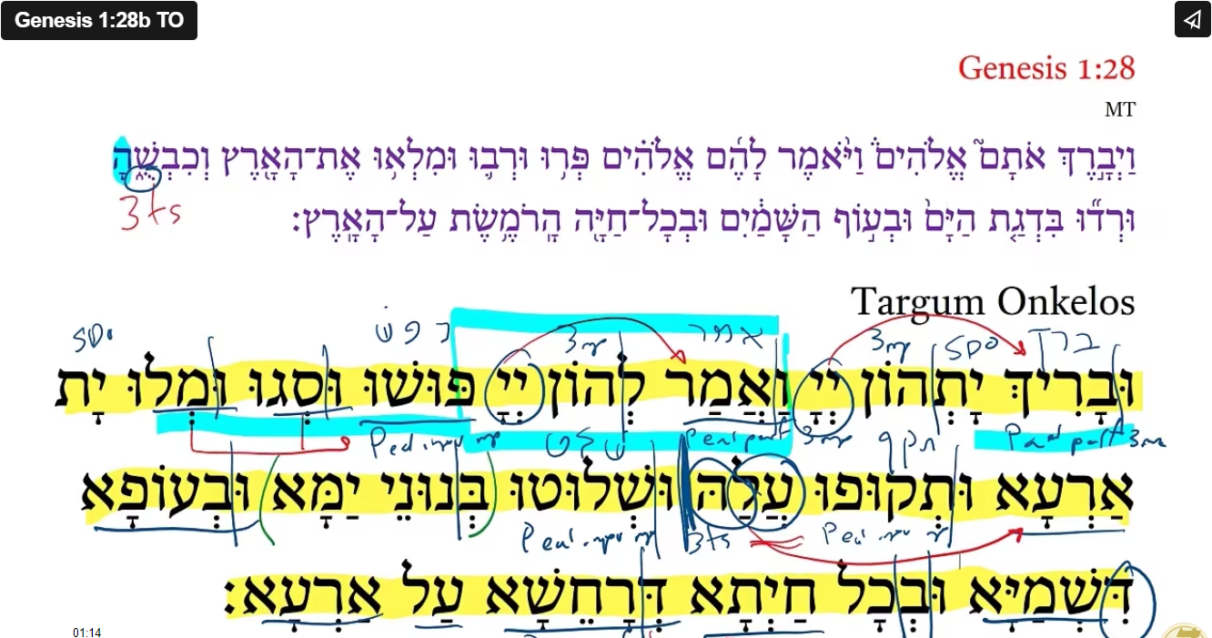 Genesis 1:28b TO
